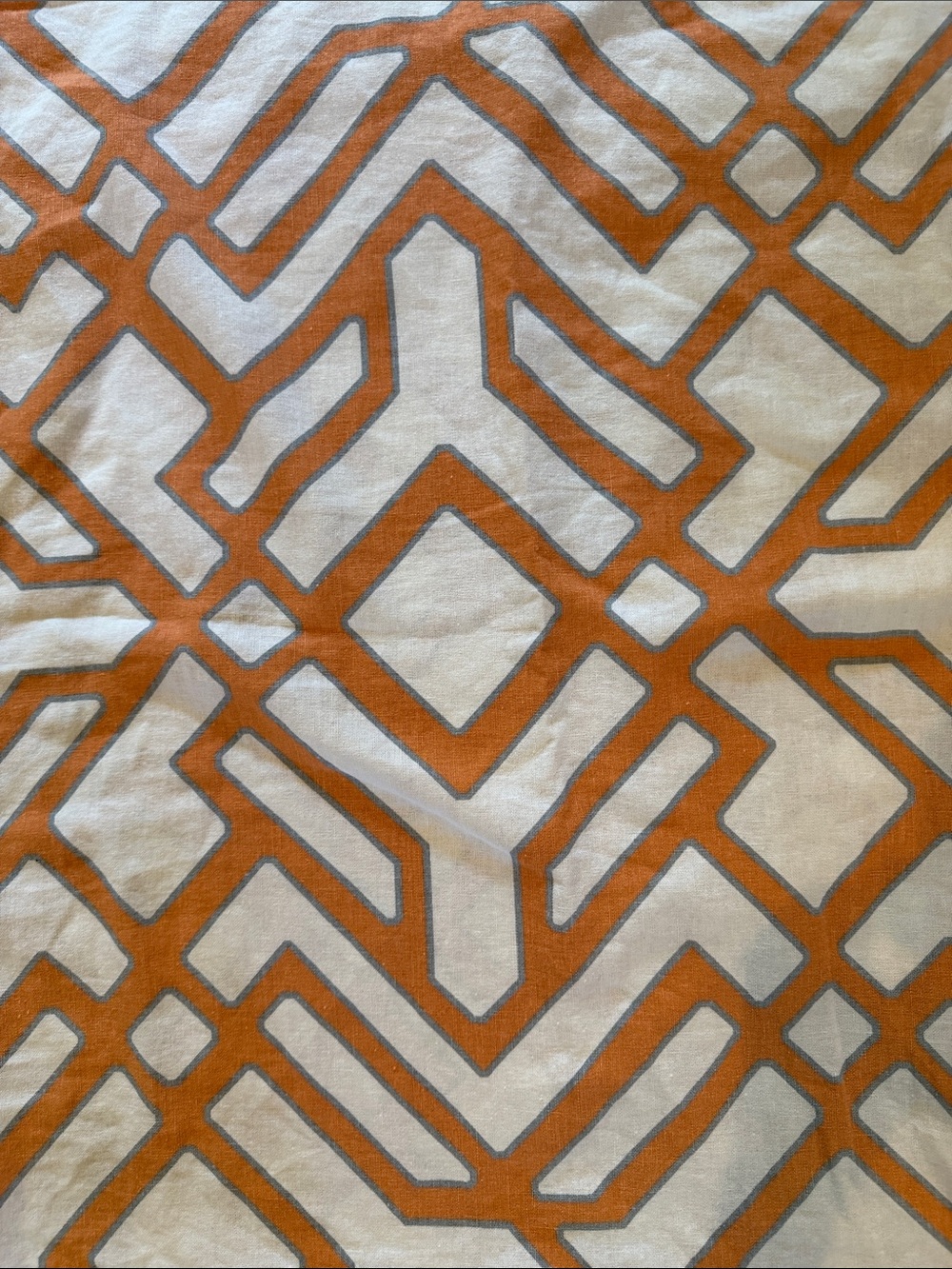 Pottery Barn Shelby Geo Trellis Euro pillow shams. Two